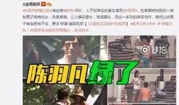 武汉出轨爆料事件视频最新,惊人真相揭露，事件最新进展全解析
